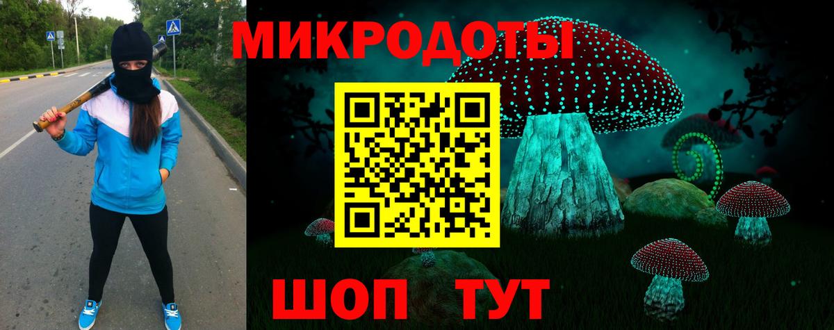 закладка  Корсаков  Псилоцибиновые грибы MAGIC MUSHROOMS  Галлюциногенные грибы мицелий 